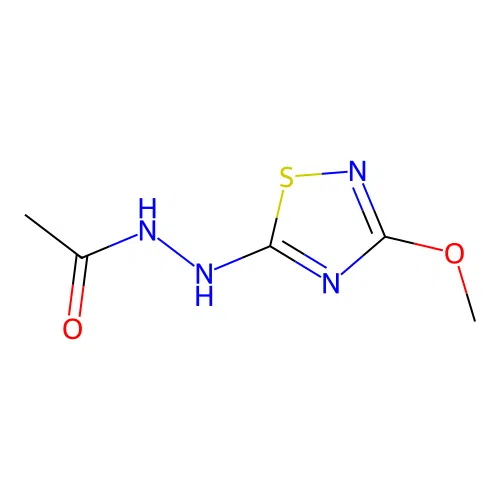 n-(3-Methoxy-[1,2,4]thiadiazol-5-ylamino)-acetamide structure