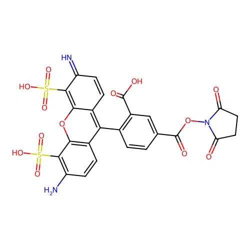 BP Fluor 488 NHS ester, TEA salt structure