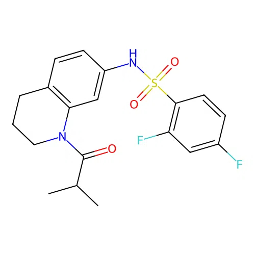 2,4-difluoro-N-(1-isobutyryl-1,2,3,4-tetrahydroquinolin-7-yl)benzenesulfonamide structure