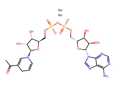 Acetylpyridine adenine dinucleotide structure