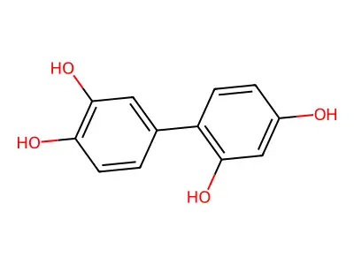 (1,1'-Biphenyl)-2,3',4,4'-tetrol structure