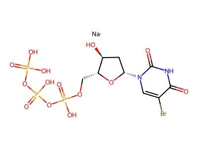 Bromodeoxyuridine triphosphate structure