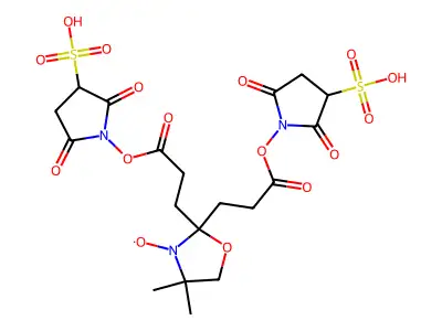 Bis(sulfo-N-succinimidyl)doxyl-2-spiro-4'-pimelate structure