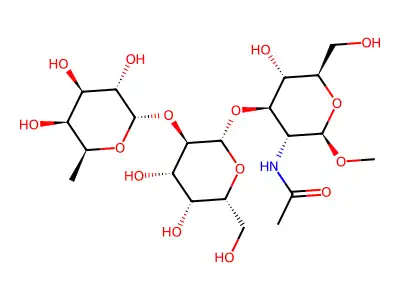 Me Fuc-gal-glcnac structure