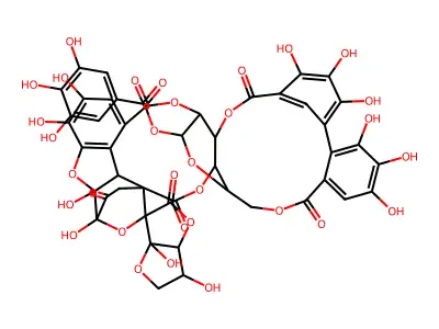 Elaeocarpusin structure