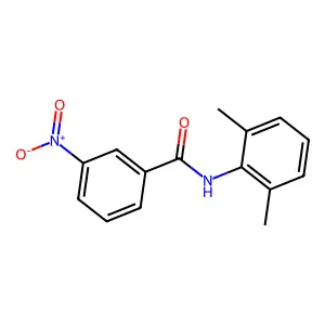 N-(2,6-Dimethylphenyl)-3-nitrobenzamide structure