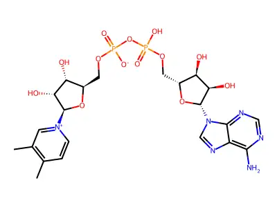 3,4-Dimethylpyridine adenine dinucleotide structure