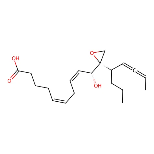 Hepoxilin B4 structure