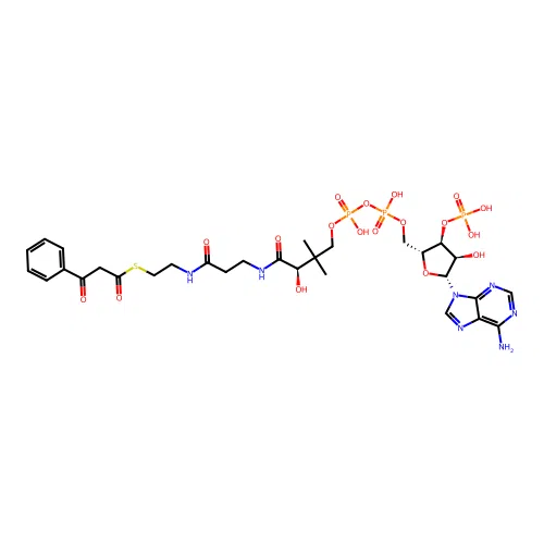 benzoylacetyl-CoA structure