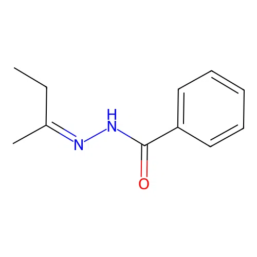 N-(butan-2-ylideneamino)benzamide structure