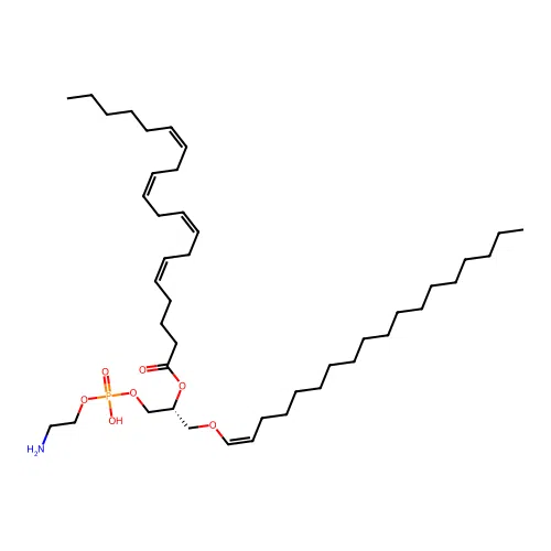 PE(P-18:0/20:4(5Z,8Z,11Z,14Z)) structure