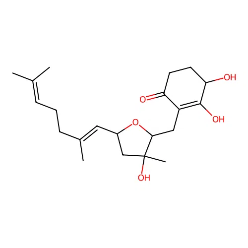 ACTG Toxin C structure