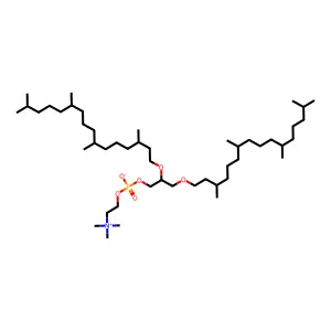 2,3-Di-O-phytanyl-sn-glycero-1-phosphocholine structure