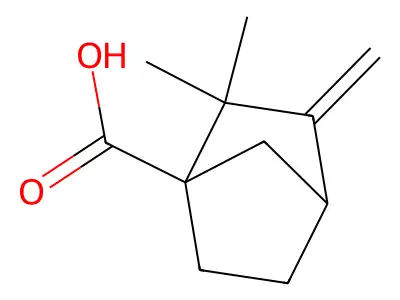 2,2-Dimethyl-3-methylenebicyclo(2.2.1)heptane-1-carboxylic acid structure