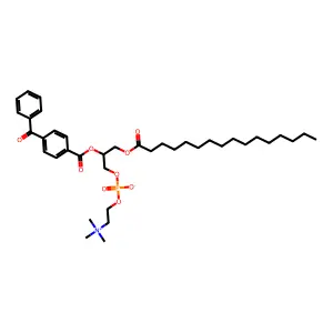 1-Palmitoyl-2-(4-benzoyl)benzoyl-3-phosphatidylcholine structure