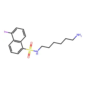 N-(8-aminohexyl)-5-iodonaphthalene-1-sulfonamide structure