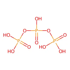Triphosphoric acid structure