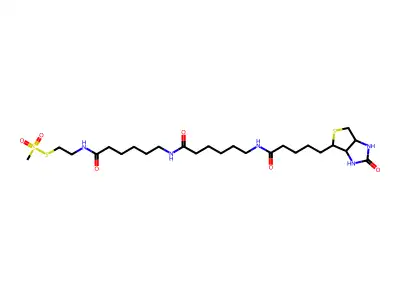 N-Biotinylcaproylaminocaproylaminoethyl Methanethiosulfonate structure