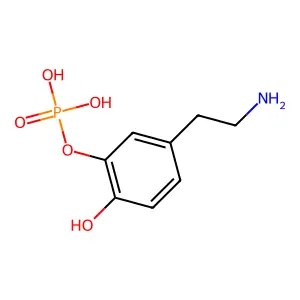 Dopamine-3-phosphate ester structure