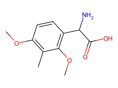 2-Amino-2-(2,4-dimethoxy-3-methylphenyl)acetic acid structure