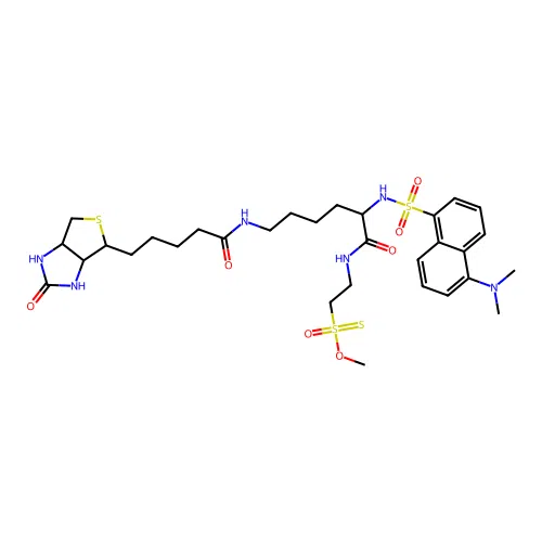 (N-Dansyl)biocytinamidoethyl Methanethiosulfonate structure