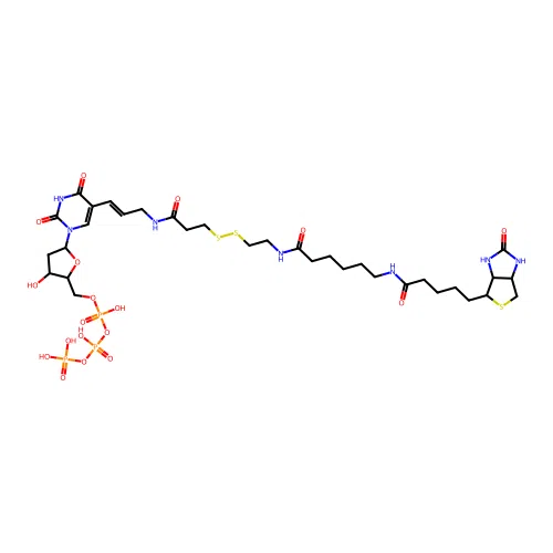biotin-19-SS-dUTP structure