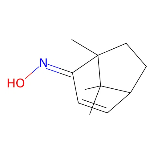(NE)-N-(1,8,8-trimethyl-2-bicyclo[3.2.1]oct-3-enylidene)hydroxylamine structure