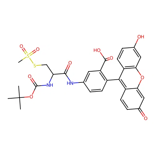 t-Boc-MTSEA-Fluorescein structure