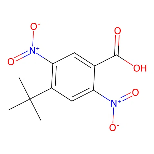 4-Tert-butyl-2,5-dinitrobenzoic acid structure