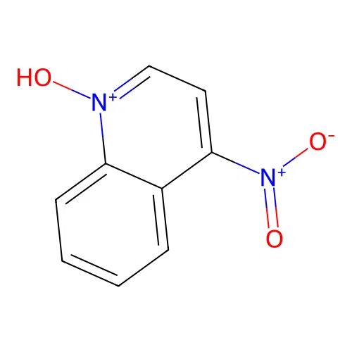 1-Hydroxy-4-nitroquinolinium structure