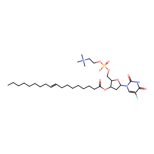 T 506 structure