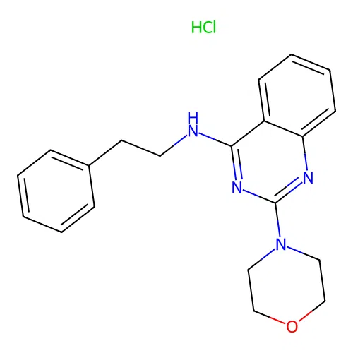 2-morpholino-N-phenethylquinazolin-4-amine hydrochloride structure