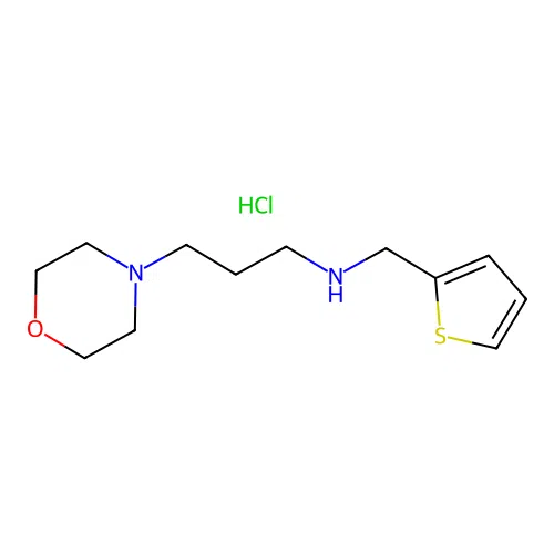 [3-(Morpholin-4-yl)propyl](thiophen-2-ylmethyl)amine hydrochloride structure