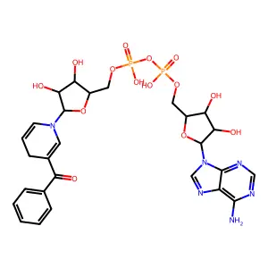 Bz3PdAD structure