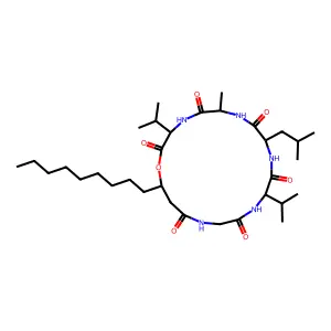 Isariin structure