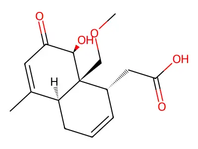 o-vanillyl methyl ether structure