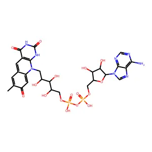 8-Dhdc-fad structure