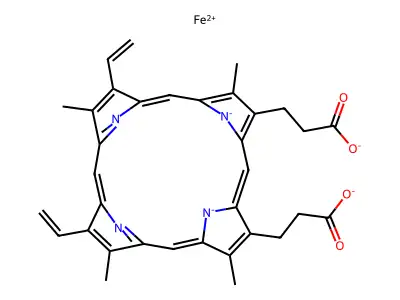 protoheme IX structure