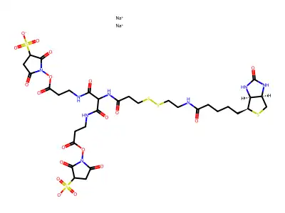 6-[2-Biotinylamidoethyl]-dithiopropionamido]-4,8-diaza-5,7-diketoundecanoic Acid, Bis-N-sulfosuccinimidyl Ester Disodium Salt structure