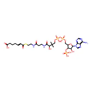 Chemical Compound (C28H44N7O19P3S) structure