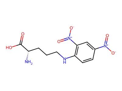 2,4-Dinitrophenylornithine structure