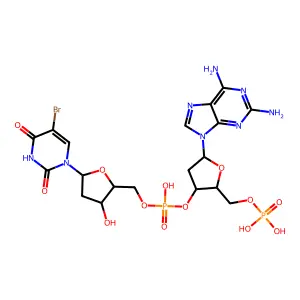 Poly(2-aminodeoxyadenylate-5-bromodeoxyuridylate) structure