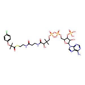 Clofibric acid-coenzyme A structure