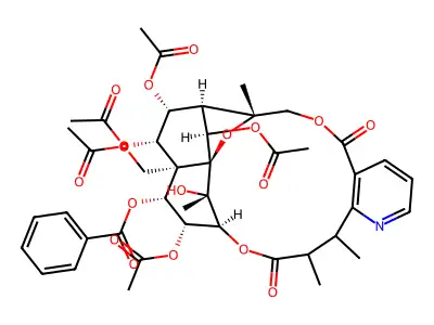 Mayteine structure