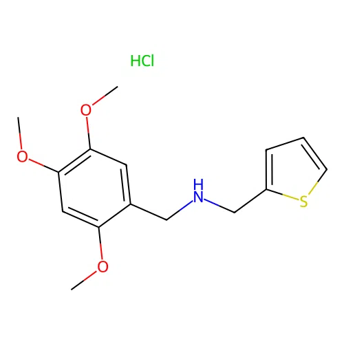 1-(thiophen-2-yl)-N-(2,4,5-trimethoxybenzyl)methanamine hydrochloride structure