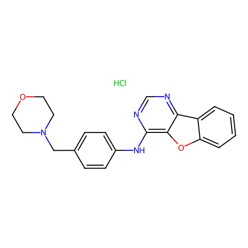N-(4-(morpholinomethyl)phenyl)benzofuro[3,2-d]pyrimidin-4-amine hydrochloride structure