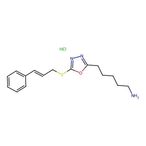(E)-5-(5-(cinnamylthio)-1,3,4-oxadiazol-2-yl)pentan-1-amine hydrochloride structure