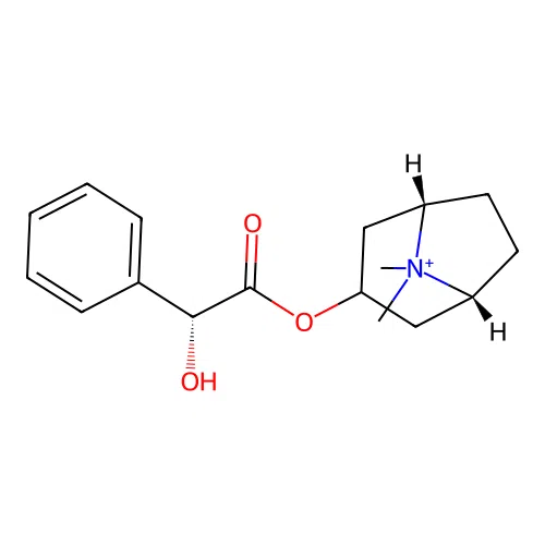 (1R,3R,5S)-3-{[(2R)-2-hydroxy-2-phenylacetyl]oxy}-8,8-dimethyl-8-azabicyclo[3.2.1]octan-8-ium structure