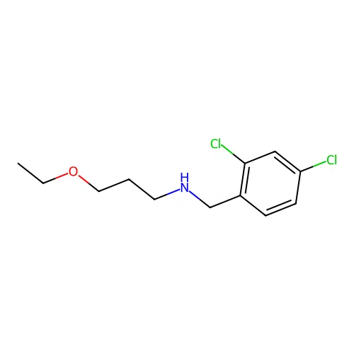 N-(2,4-dichlorobenzyl)-3-ethoxypropan-1-amine structure