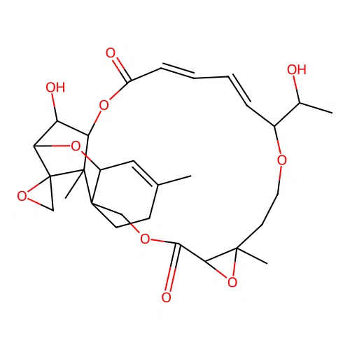 Bacharinoid B12 structure
